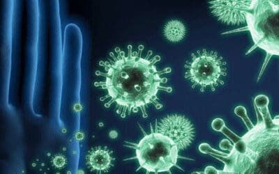 Educational Ebook – How to: Boost your immune system